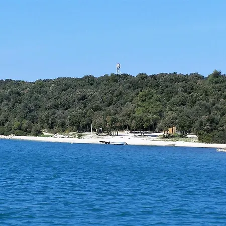 Ivis Vinkuran