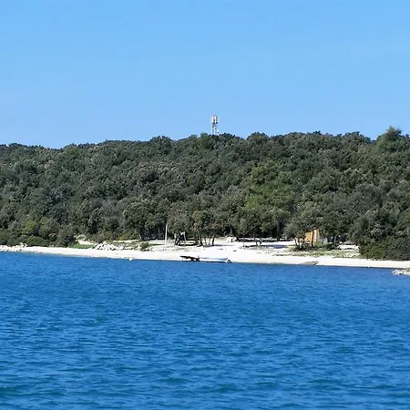 Ivis Винкуран