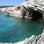 Ivis Daire Vinkuran